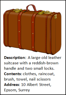02 - Luggage pic.png